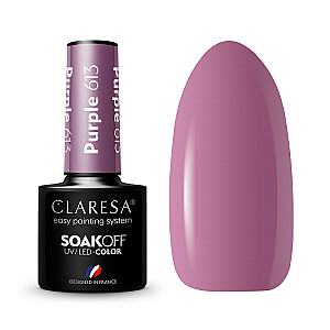 CLARESA Soak Off UV/LED Фиолетовый гибридный лак 613 5г