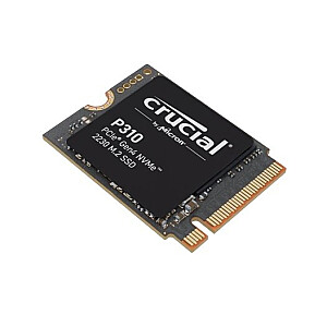 Diskas SSD P310 2 TB M.2 NVMe 2230 PCIe 4.0 7100/6000