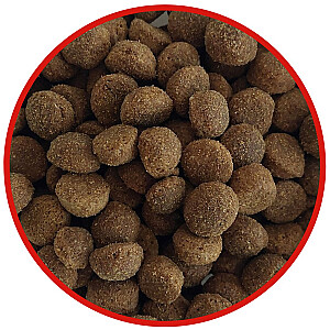 BIOFEED Tasty Life Medium & Large Говядина - сухой корм для собак - 15 кг