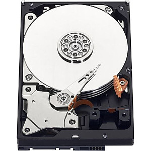 Dysk WD Caviar Blue 1 TB 3,5 colio SATA III (WD10EZEX)