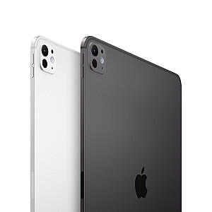 Apple iPad Pro, 11 colių, Wi-Fi, 256 GB, standartinis stiklas, erdvė juoda