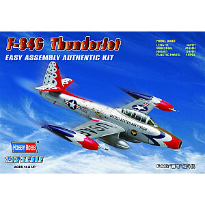 Plastikinis F-84G ThunderJet modelis