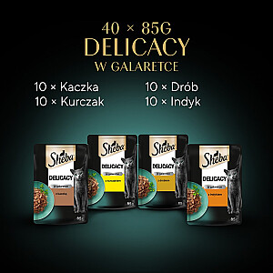 SHEBA Delicacy Paukštienos skoniai želė - šlapias kačių maistas - 40x85 g