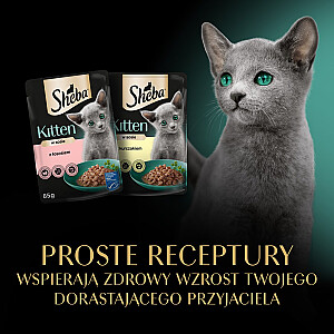 SHEBA Kitten skonių pasirinkimas padaže - šlapias kačių maistas - 40x85 g