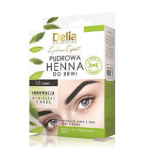 DELIA Хна для бровей пудра 1.0 Черная 4г