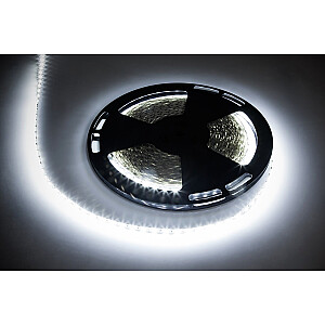 LED laidas 25m Rebel (1500x5050 SMD) šaltai baltas, 12V