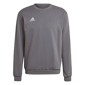 Megztinis Adidas Entrada 22 pilkas H57479 XL