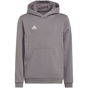 Толстовка детская adidas Entrada 22 Hoody серая H57515 116см