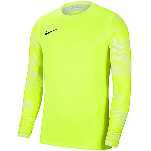 Толстовка вратаря Nike Dry Park IV JSY LS GK Lime CJ6066 702 M