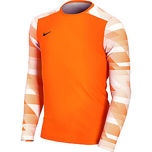 Толстовка вратаря Nike Dry Park IV JSY LS GK JUNIOR оранжевая CJ6072 819 L