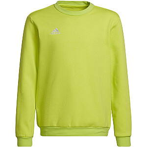 adidas Entrada 22 Sweat Top lime HC5043 152 cm