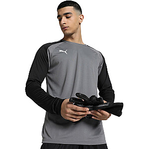 Мужская вратарская толстовка Puma teamPACER GK LS серая 704933 43 L