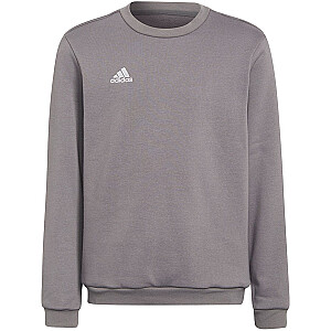 Vaikiškas megztinis Adidas Entrada 22 Sweat Top pilkas H57477 116cm