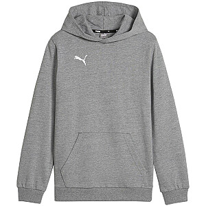 Толстовка Puma Team Goal Casuals Hoddy серая 658619 33 164 см