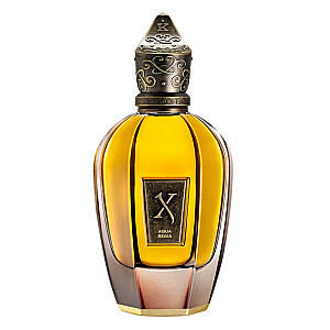 XERJOFF K Collection Aqua Regia PERFUME purškiklis 100 ml