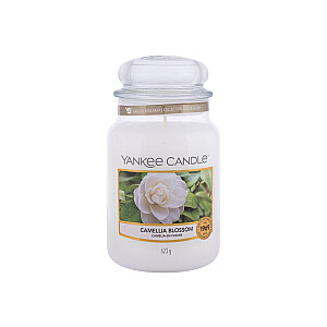 YANKEE CANDLE Large Jar большая ароматическая свеча Camellia Blossom 623г