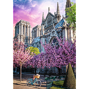 TREFL Premium Plus Пазл Notre-Dame Cathedral of Paris, 1000 шт.