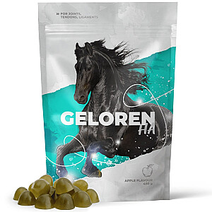 GELOREN Horse HA Joints - vitamins for horses - 450g