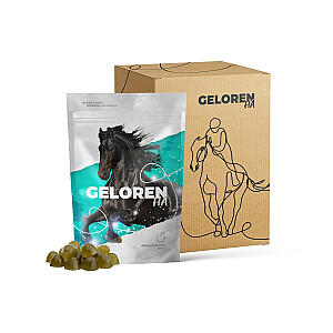 GELOREN Horse HA Joints - vitamins for horses - 450g