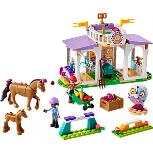 Lego Friends Konstruktors Zirgu apmācības 134 gb. 4+ 41746