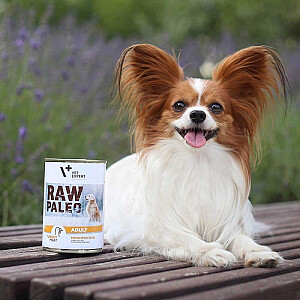 RAW PALEO Adult Monoprotein Turkey - wet dog food - 400 g