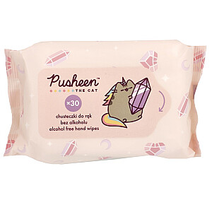 PUSHEEN The Cat chusteczki do rąk dla dzieci 30szt.