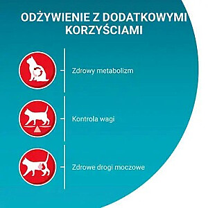 PURINA One Sterilcat Wołowina - сухой корм для кошек - 9,75 кг