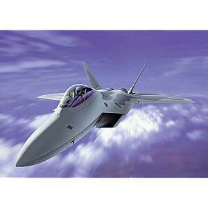 F-22 Raptor plastikinis modelis 