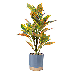 Puodas ant kojelių PALM-3, D23xH29cm, rudas