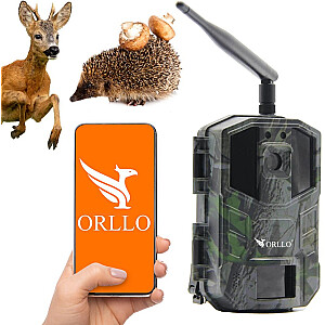 Kamera GSM ORLLO Huntercam 3