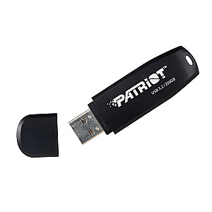 Patriot Core 256 ГБ тип A USB 3.2 80 МБ/с черный