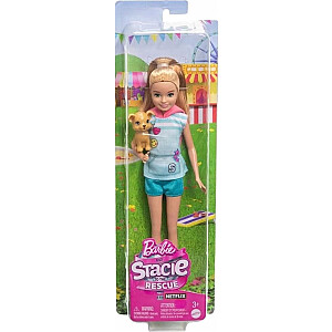 Barbės lėlės Mattel Stacie filmas (HRM05)