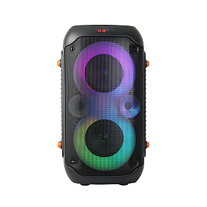 Esperanza EP156 BT FM LED RGB KARAOKE garsiakalbis juodas 20 W