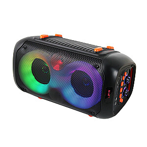 Esperanza EP156 BT FM LED RGB KARAOKE garsiakalbis juodas 20 W