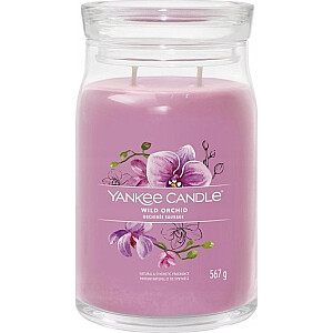 Свеча Yankee Candle Signature Wild Orchid большая 567г