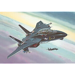 Пластиковая модель F-14A «Черный Томкэт»