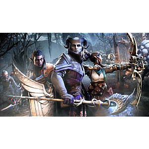 Gra PlayStation 5 Dragon Age The Veilguard