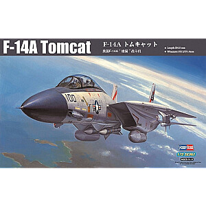 F-14A Tomcat 