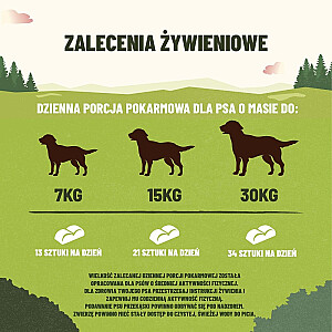 PURINA Adventuros Training лосось 40 г