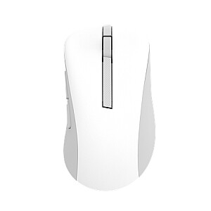 Asus Wireless Mouse | MD102 | Mouse | 2.4 GHz, Bluetooth | White