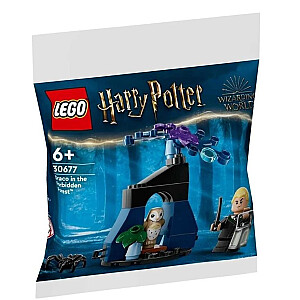 LEGO Harry Potter 30677 Драко в Запретном лесу