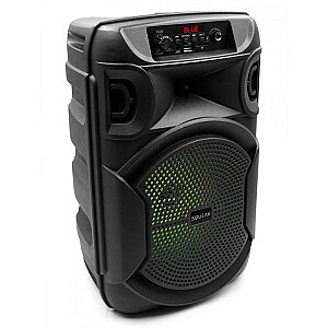 Głośnik Bluetooth 5.3 EDR PulseTower 1000W Funkcja Karaoke SQ1006