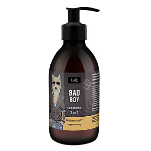 LAQ Bad Boy szampon regenerujący 1w1 300ml