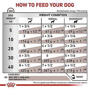 ROYAL CANIN VHN Gastrointestinal Loaf - wet food for dogs - 200g