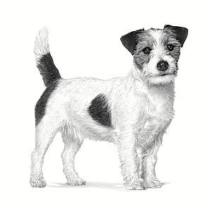 Royal Canin VHN Anallergenic Small Dogs - сухой корм для взрослых собак - 1,5 кг