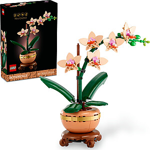 Botanicals Small Orchid (10343)