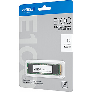 Dysk SSD E100 1TB M.2 NVMe 2280 PCIe 4.0 5000/4500 MB/s