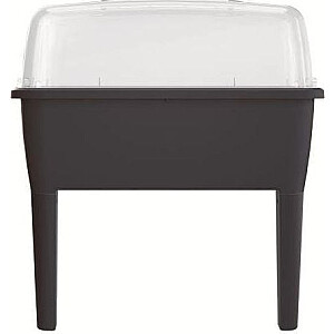 Prosperplast mini spintelė 38 cm x 77 cm x 82 cm (DREP770-S433)
