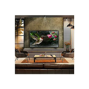 LG OLED B4 165,1 cm (65 colių) 4K Ultra HD išmanusis televizorius Wi-Fi juodas