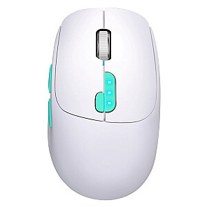 MOUSE DEFENDER NITTA MM-307 RF+BT OPTIC 1600dpi 6P WHITE